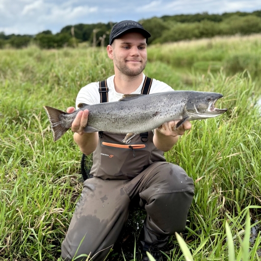 Havørred fra Jordbro å