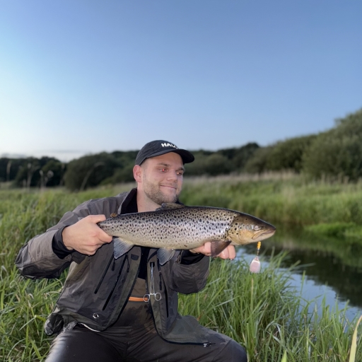 Havørred fra Jordbro å
