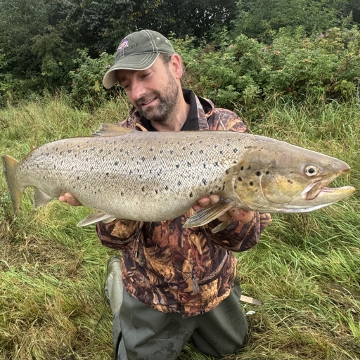 Havørred fra Jordbromølle å