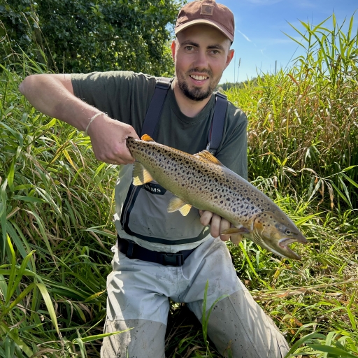 Havørred fra Jordbro Mølle å